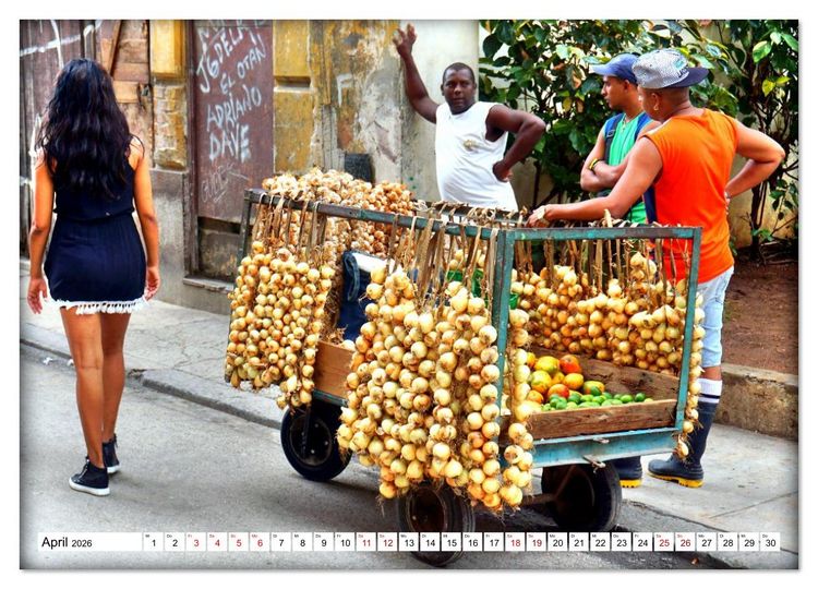 Produktbild: HAVANNA - Beruf Zwiebel-H&auml;ndler (Wandkalender 2026 DIN A3 quer), CALVENDO Monatskalender