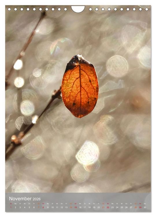 Produktbild: Mit Bokeh-Fotografie durch das Jahr (Wandkalender 2026 DIN A4 hoch), CALVENDO Monatskalender