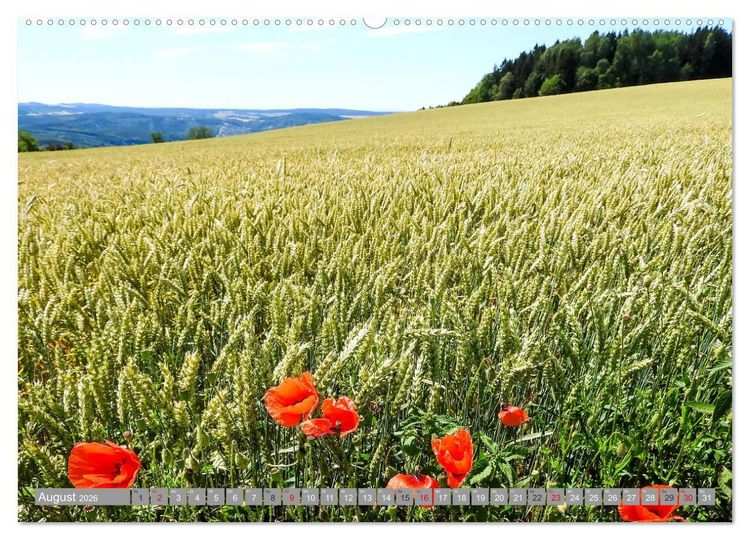 Produktbild: Wandern im Erzgebirge (Wandkalender 2026 DIN A2 quer), CALVENDO Monatskalender