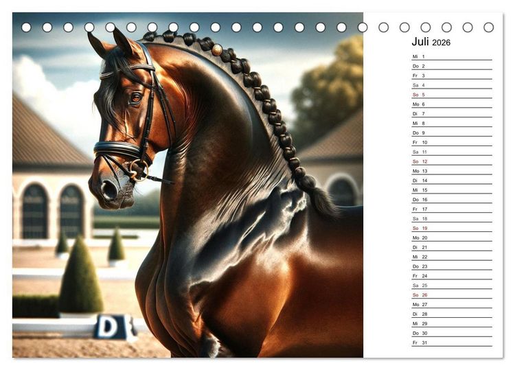 Produktbild: Pferde - die Sch&ouml;nheit edler Pferderassen (Tischkalender 2026 DIN A5 quer), CALVENDO Monatskalender