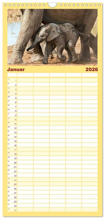 Produktbild: Familienplaner 2026 - Afrikas Tierwelt: Elefantenbabys mit 5 Spalten (Wandkalender, 21 x 45 cm) CALVENDO