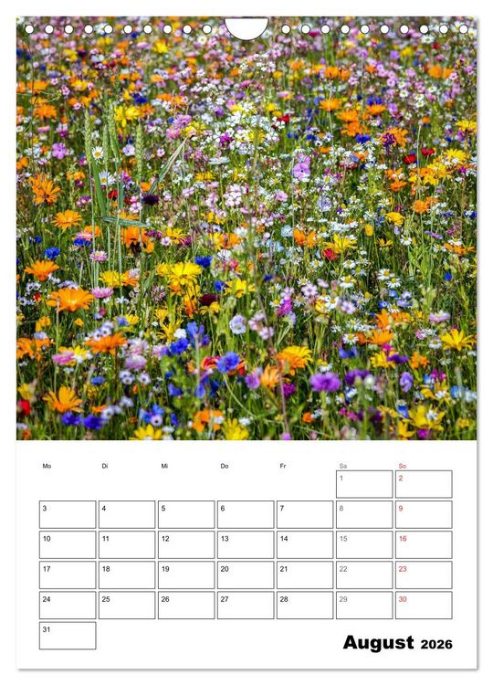 Produktbild: Farben der Natur (Wandkalender 2026 DIN A4 hoch), CALVENDO Monatskalender
