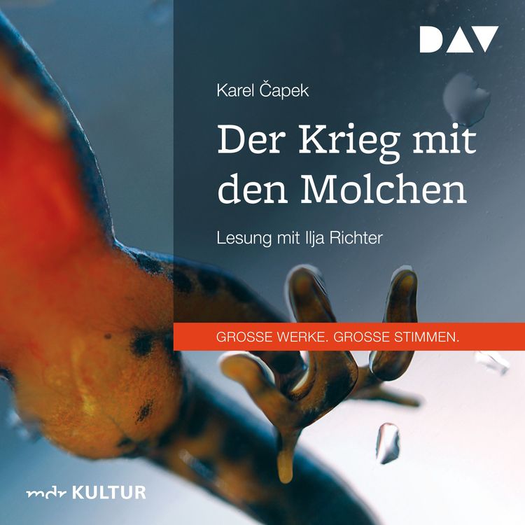 Produktbild: Der Krieg mit den Molchen