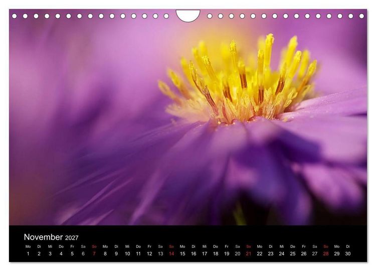 Produktbild: Blumige Farben (Wandkalender 2027 DIN A4 quer), CALVENDO Monatskalender