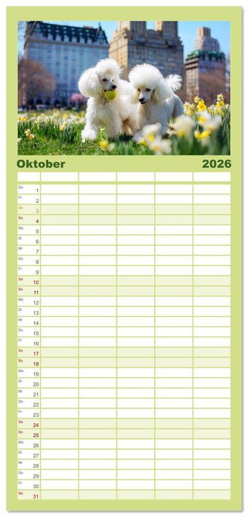 Produktbild: Familienplaner 2026 - Pudel in der Stadt. Urbane Momente voller Charme und Lebensfreude mit 5 Spalten (Wandkalender, 21 x 45 cm) CALVENDO