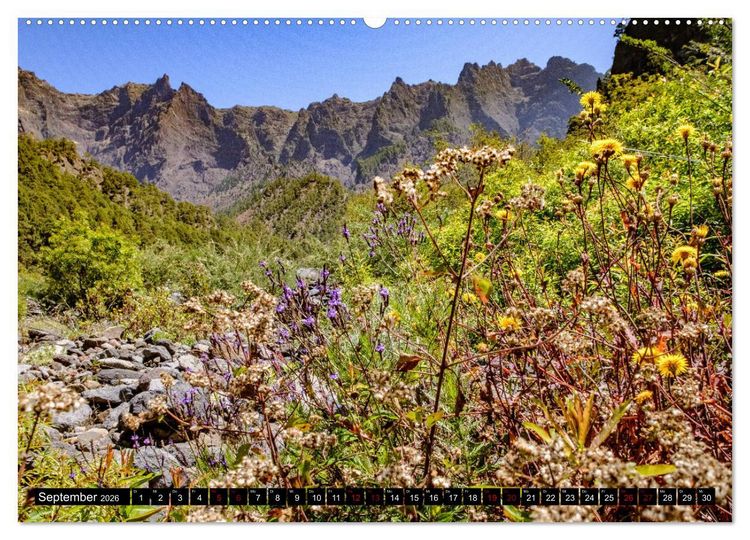 Produktbild: Natur pur erleben auf La Palma (Wandkalender 2026 DIN A2 quer), CALVENDO Monatskalender
