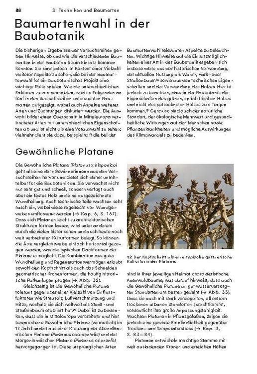 Produktbild: Wachsende Architektur