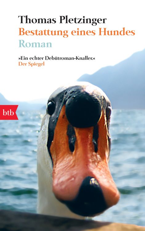 Produktbild: Bestattung eines Hundes