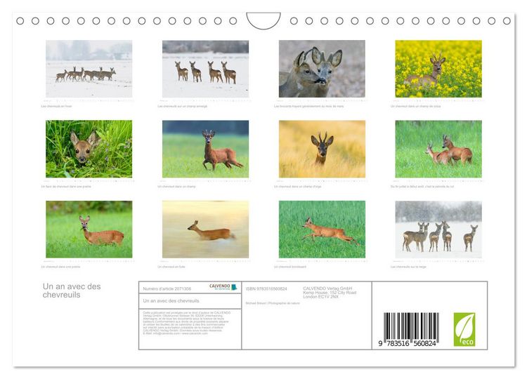 Produktbild: Un an avec des chevreuils (Calendrier mural 2026 DIN A4 vertical), CALVENDO calendrier mensuel