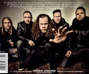 Produktbild: From Ashes To Fire