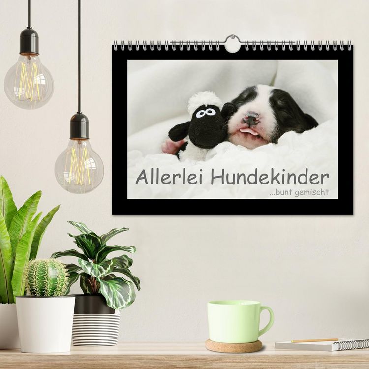 Produktbild: Allerlei Hundekinder (Wandkalender 2026 DIN A4 quer), CALVENDO Monatskalender