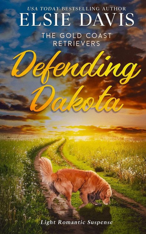 Produktbild: Defending Dakota