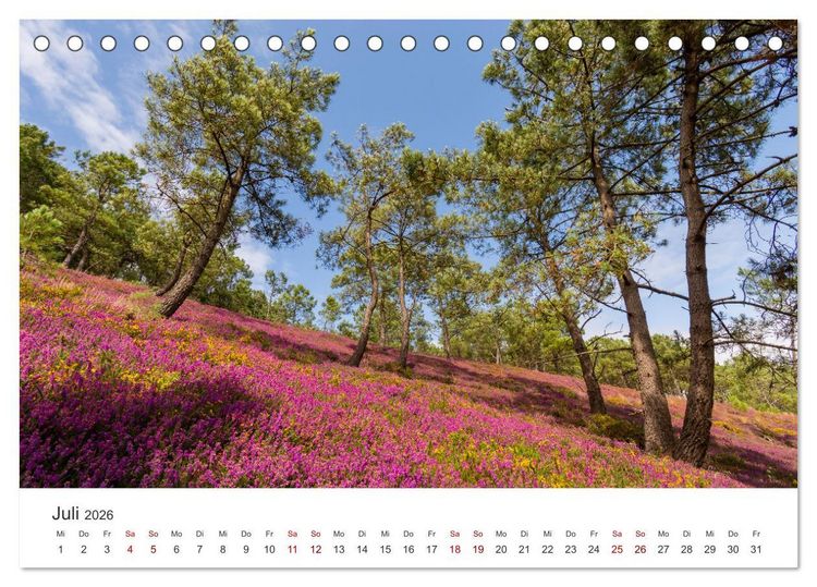 Produktbild: Die Bretagne - Traumpfade (Tischkalender 2026 DIN A5 quer), CALVENDO Monatskalender