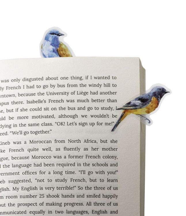 Produktbild: Stikki Marks Mini-Lesezeichen &bdquo;Winter Birds&ldquo; &ndash; 30 selbsthaftende Marker