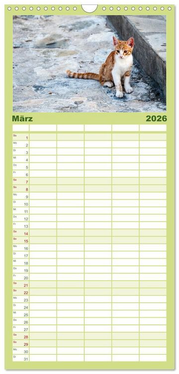 Produktbild: Familienplaner 2026 - Griechische Katzen mit 5 Spalten (Wandkalender, 21 x 45 cm) CALVENDO