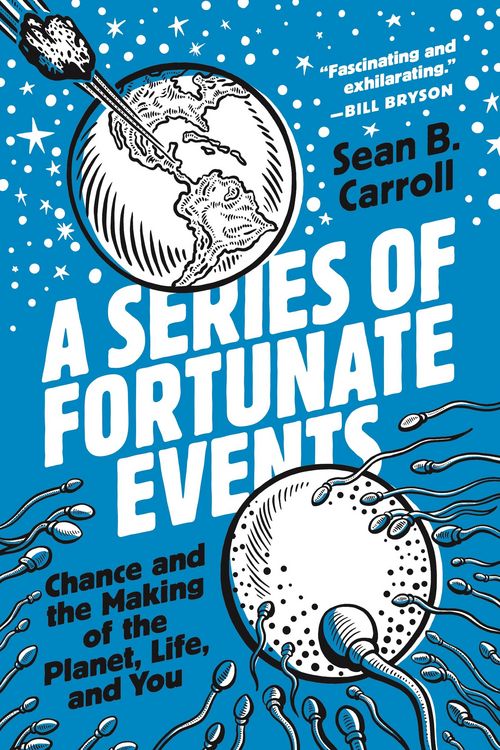 Produktbild: A Series of Fortunate Events