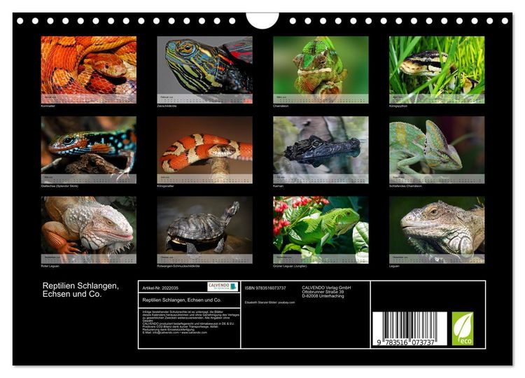 Produktbild: Reptilien Schlangen, Echsen und Co. (Wandkalender 2026 DIN A4 quer), CALVENDO Monatskalender