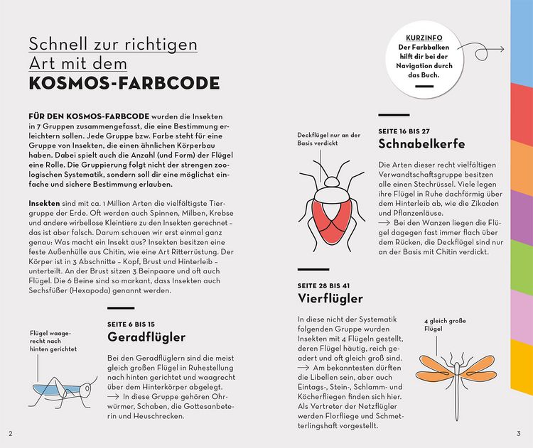 Produktbild: BASIC Insekten