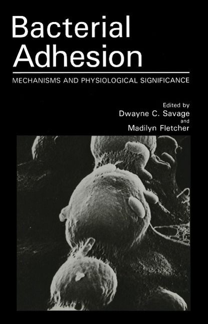 Produktbild: Bacterial Adhesion