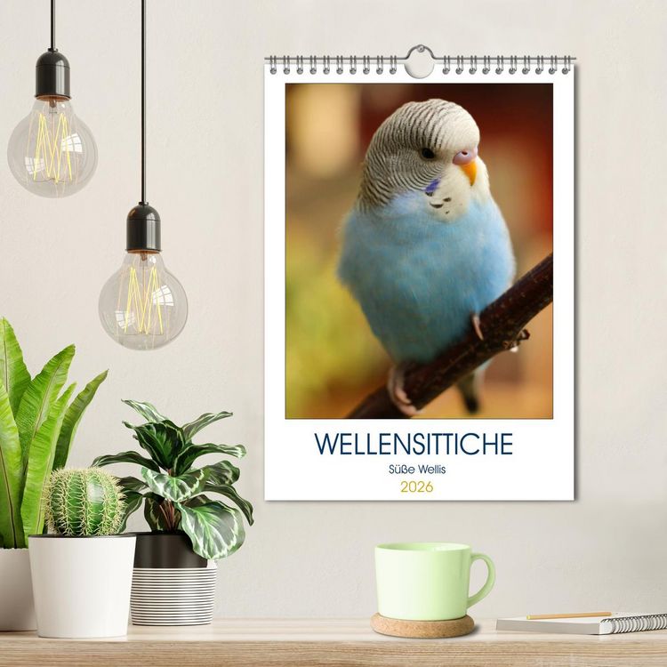 Produktbild: WELLENSITTICHE - S&uuml;&szlig;e Wellis (Wandkalender 2026 DIN A4 hoch), CALVENDO Monatskalender