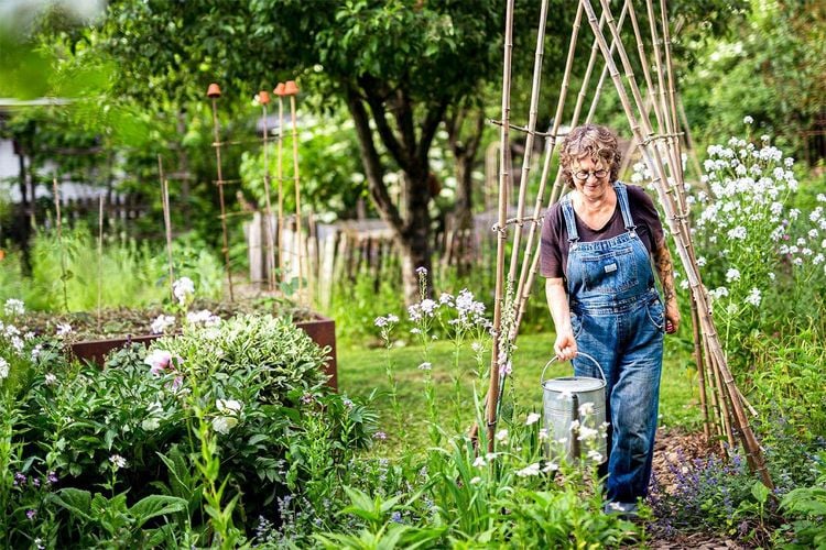 Produktbild: Blumen, Kohl & Rock'n'Roll