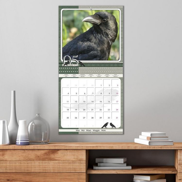 Produktbild: Saar, I: Crows. Portraits of Intelligence. Cleverly schedule