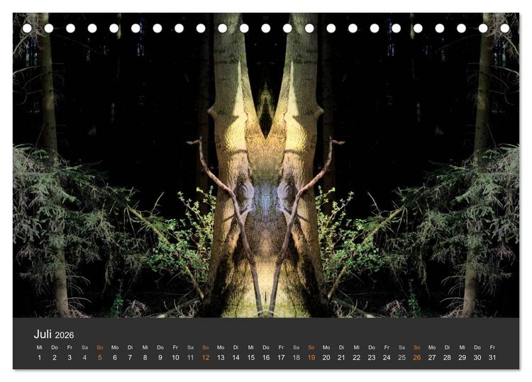 Produktbild: Spiegelwelten - Im Reich der Naturwesen (Tischkalender 2026 DIN A5 quer), CALVENDO Monatskalender