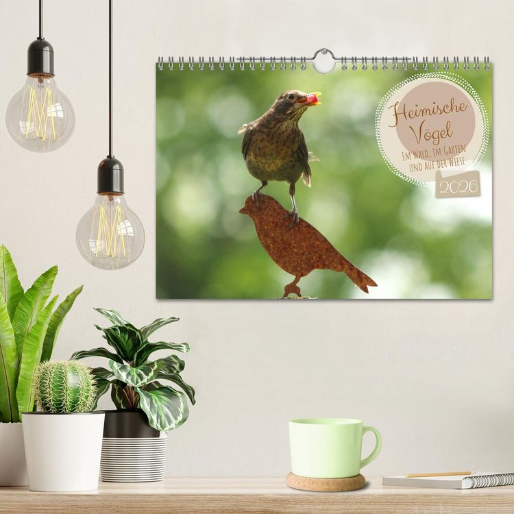 Produktbild: Heimische V&ouml;gel - Im Wald, im Garten und auf der Wiese (Wandkalender 2026 DIN A4 quer), CALVENDO Monatskalender