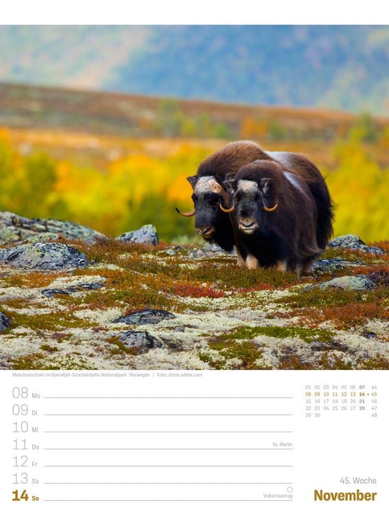 Produktbild: Planet Erde Wochenplaner Kalender 2027 | Landschaften der Welt