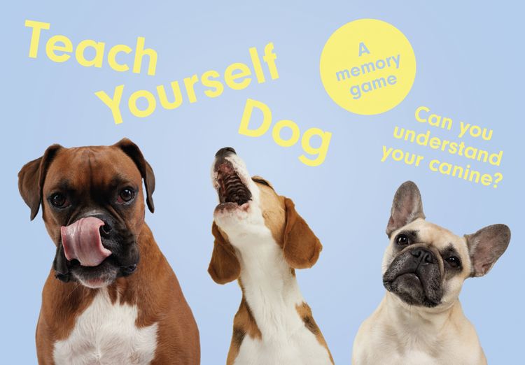 Produktbild: Teach Yourself Dog