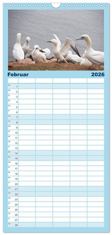 Produktbild: Familienplaner 2026 - Helgoland - idyllische Nordseeinsel mit 5 Spalten (Wandkalender, 21 x 45 cm) CALVENDO