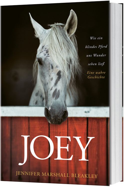 Produktbild: Joey - Wie ein blindes Pferd uns Wunder sehen lie&szlig;