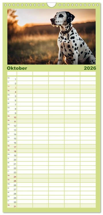 Produktbild: Familienplaner 2026 - Dalmatiner - freundliche Temperamentsbolzen mit 5 Spalten (Wandkalender, 21 x 45 cm) CALVENDO