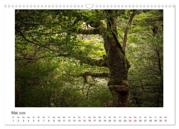 Produktbild: Yakushima - Japans Weltnaturerbe (Wandkalender 2026 DIN A3 quer), CALVENDO Monatskalender