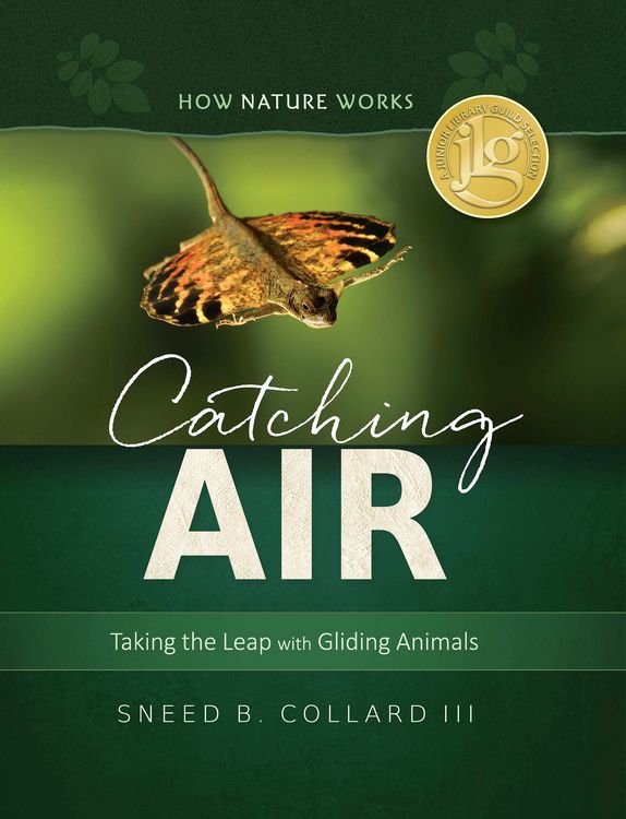 Produktbild: Catching Air