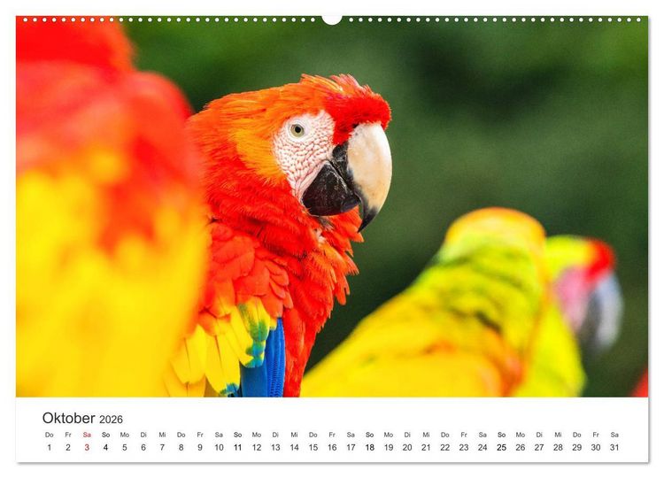 Produktbild: Costa Rica - exotische Tierwelt und unber&uuml;hrte Natur (hochwertiger Premium Wandkalender 2026 DIN A2 quer), Kunstdruck in Hochglanz