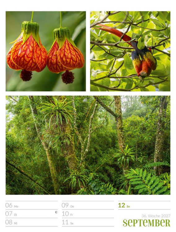 Produktbild: Farben der Natur Wochenplaner Kalender 2027