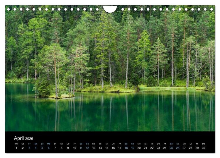 Produktbild: Wildes Europa 2026 (Wandkalender 2026 DIN A4 quer), CALVENDO Monatskalender
