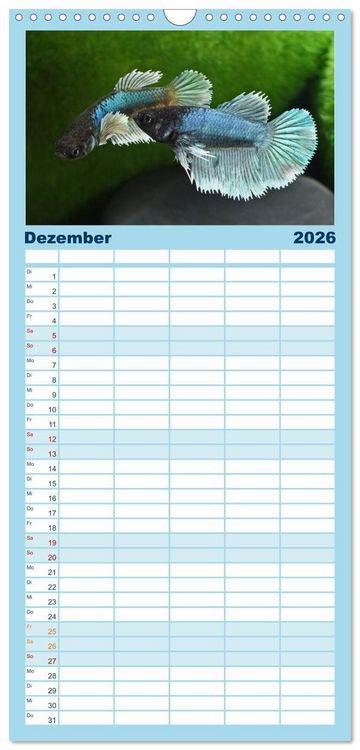 Produktbild: Familienplaner 2026 - Beliebte Fische der Welt mit 5 Spalten (Wandkalender, 21 x 45 cm) CALVENDO