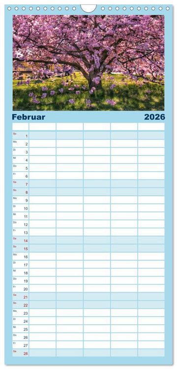 Produktbild: Familienplaner 2026 - B&auml;ume, der Atem der Natur mit 5 Spalten (Wandkalender, 21 x 45 cm) CALVENDO