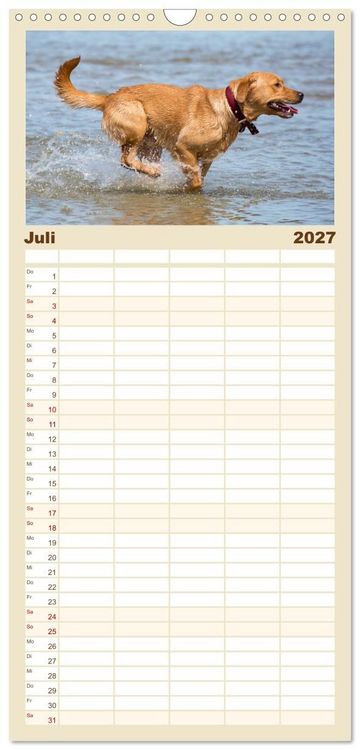 Produktbild: Familienplaner 2027 - Freunde auf vier Pfoten am Strand mit 5 Spalten (Wandkalender, 21 x 45 cm) CALVENDO