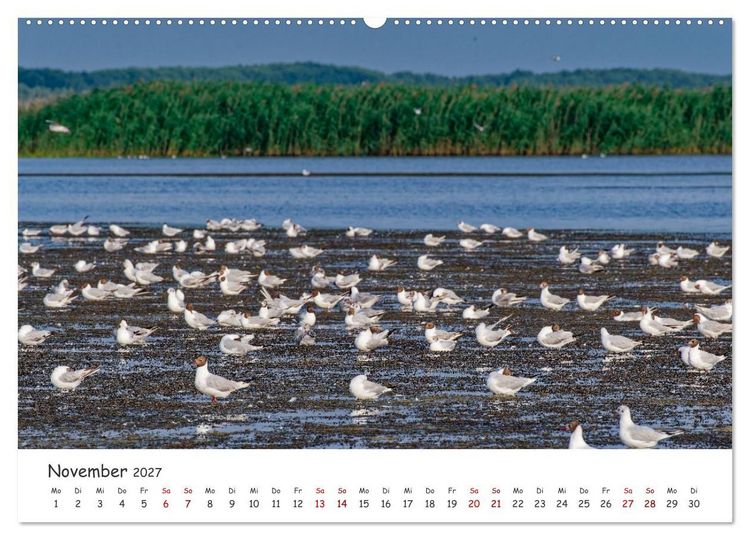Produktbild: Donau-Delta (hochwertiger Premium Wandkalender 2027 DIN A2 quer), Kunstdruck in Hochglanz