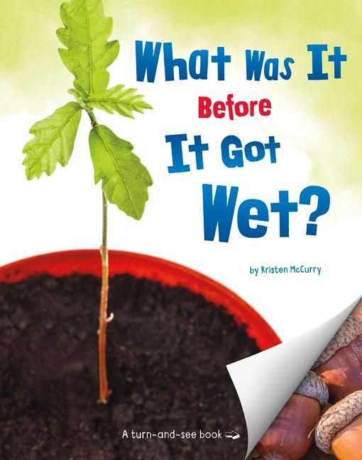 Produktbild: What Was It Before It Got Wet?