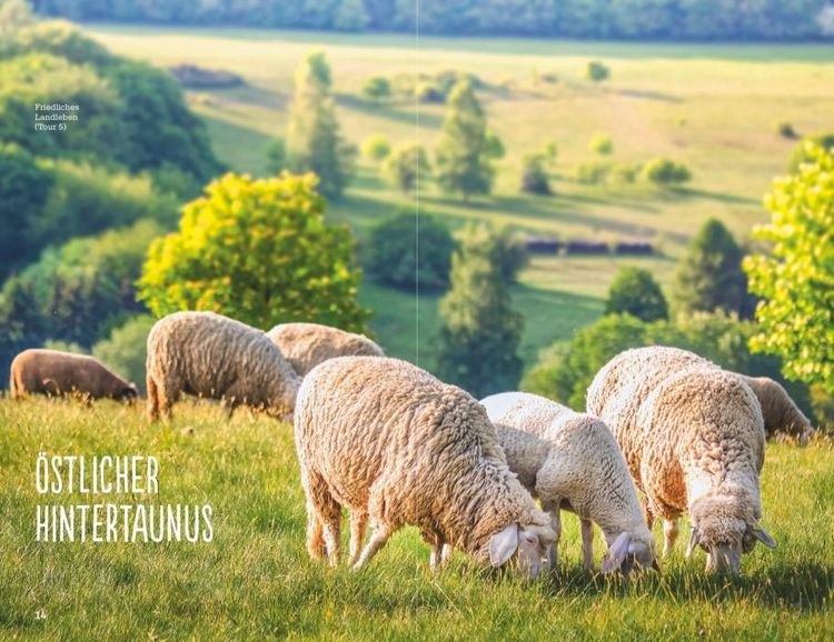 Produktbild: Einfach gl&uuml;cklich wandern Taunus