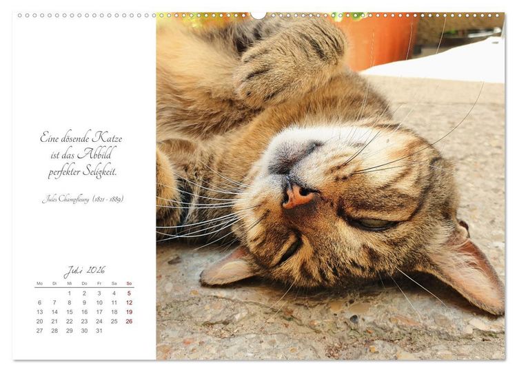 Produktbild: Catlovers - Ein Jahr voller Samtpfoten und charmanten Weisheiten (Wandkalender 2026 DIN A2 quer), CALVENDO Monatskalender