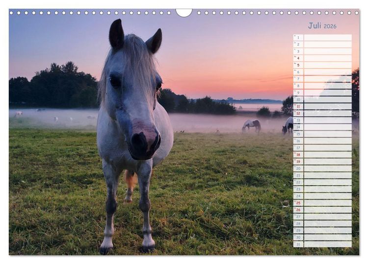 Produktbild: Zwischen Harz und Meer (Wandkalender 2026 DIN A3 quer), CALVENDO Monatskalender