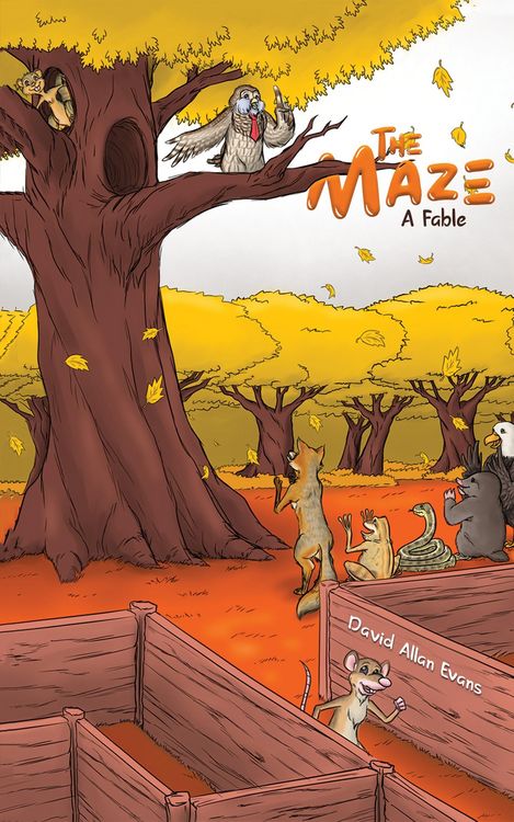 Produktbild: Maze