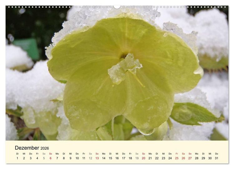 Produktbild: Kraftquelle Gr&uuml;n (hochwertiger Premium Wandkalender 2026 DIN A2 quer), Kunstdruck in Hochglanz