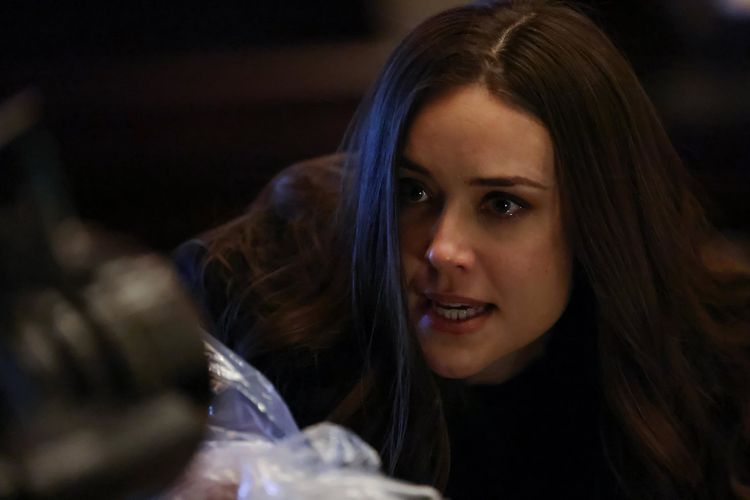 The Blacklist - Die komplette achte Season [6 DVDs]