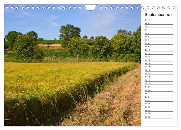 Produktbild: Landschaften des Kraichgaus (Wandkalender 2026 DIN A4 quer), CALVENDO Monatskalender